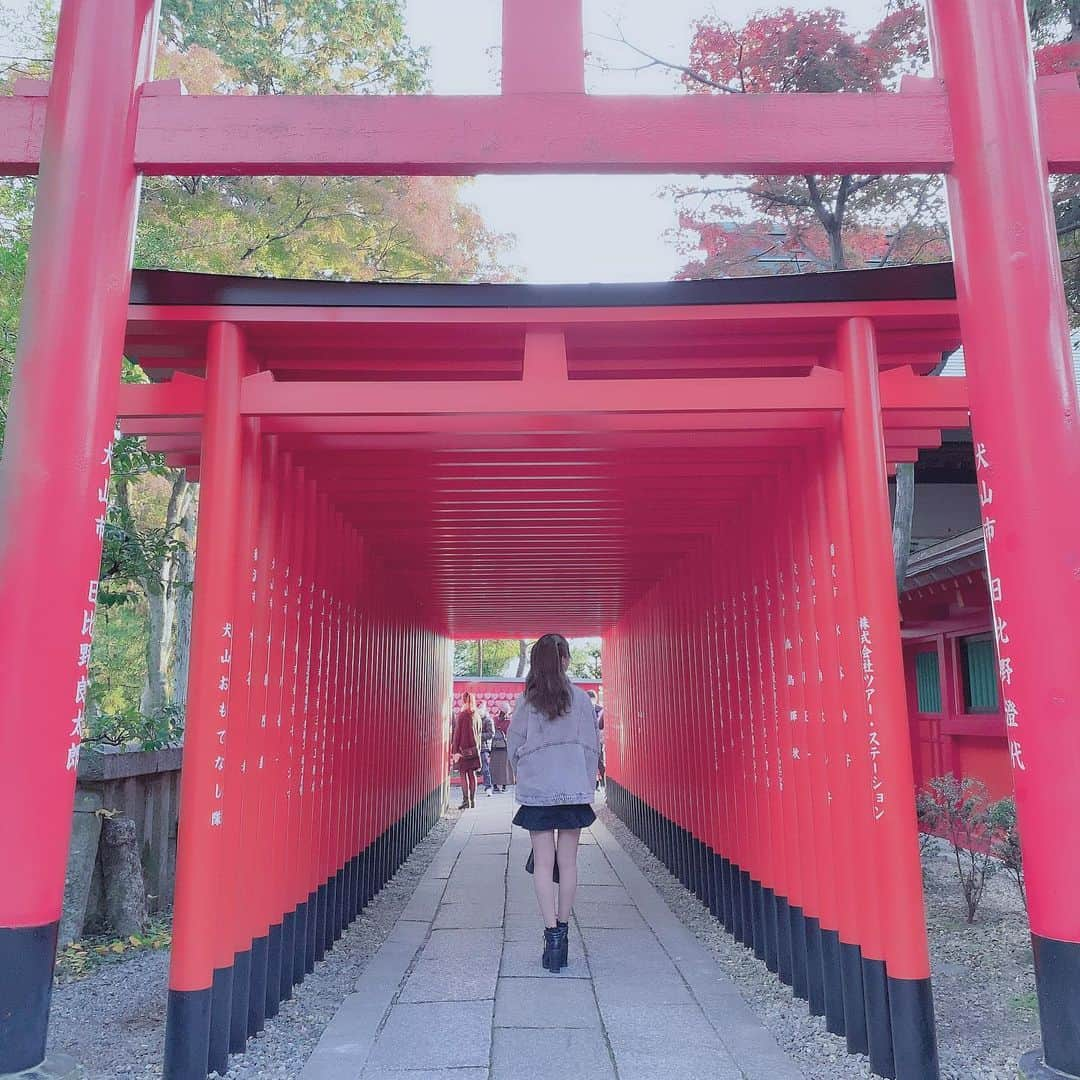 空美夕日さんのインスタグラム写真 - (空美夕日Instagram)「犬山城下町😶⛩」11月15日 16時18分 - pakimicha