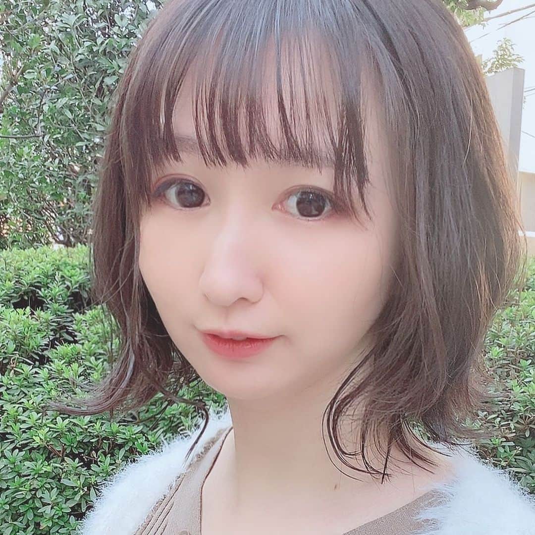 大谷咲子のインスタグラム：「何年かぶりに短くしました！ とてもいい感じにしてもらえて嬉しいです。 インナー以外のカラーも久しぶり🥰 いつもマツエクでお世話になっている松本さん( @mikimoto_08 )に担当してもらいました✨  #ショートボブ　#hairstyle」