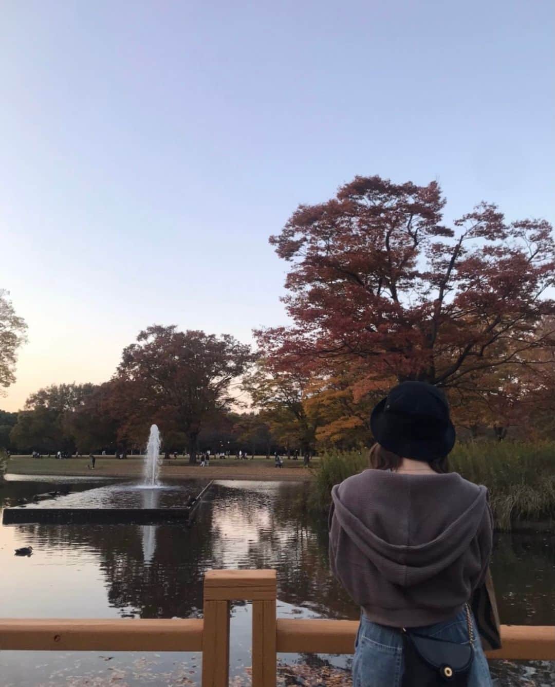 布施柚乃さんのインスタグラム写真 - (布施柚乃Instagram)「🍂﻿ ﻿ 秋だなぁ〜。﻿ ﻿ ﻿ 冬ももうすぐそこやん🥶﻿ ﻿ クリスマス、、、来るやん、、﻿」11月15日 16時37分 - yuno.fuse