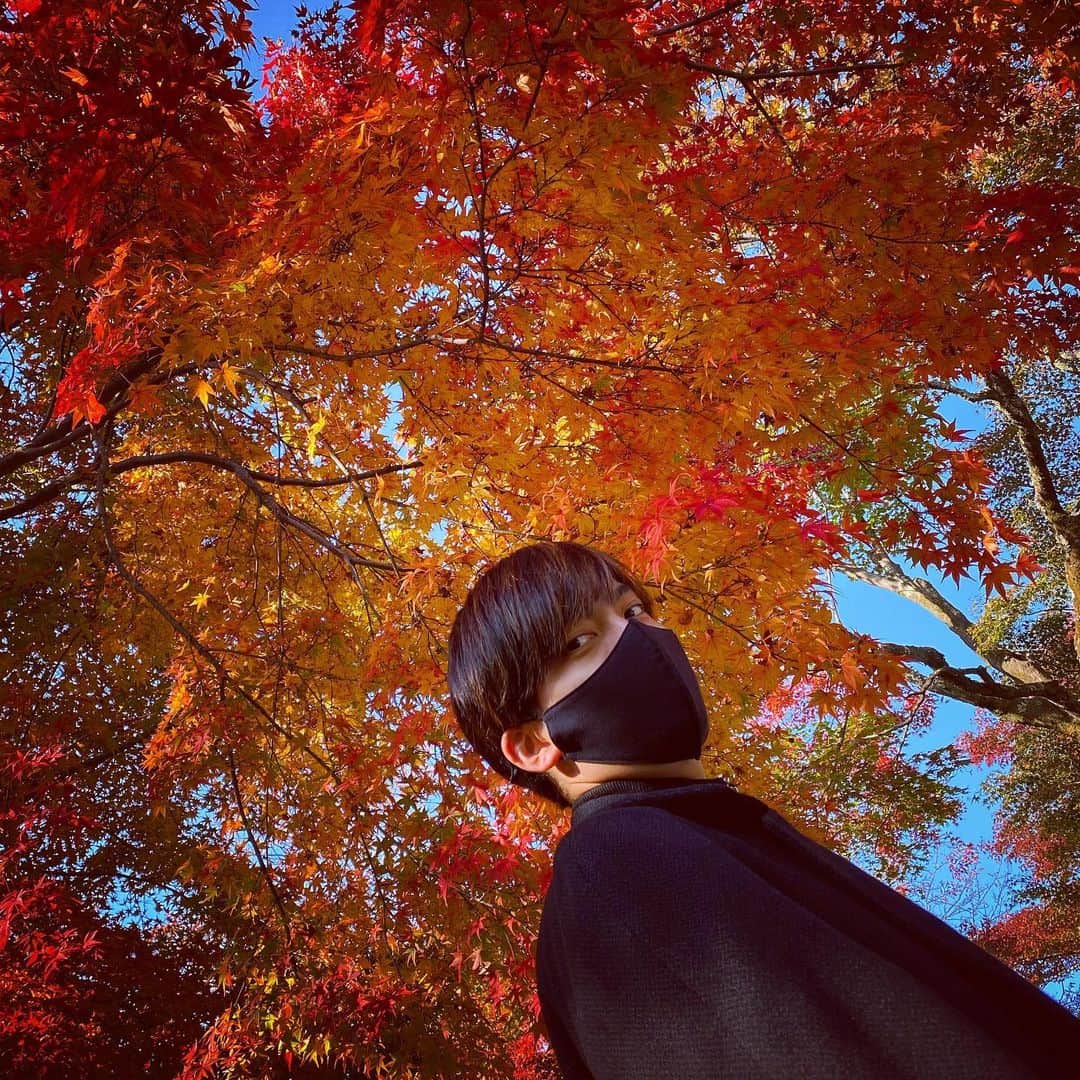 竹下健人さんのインスタグラム写真 - (竹下健人Instagram)「🍁  炎のような紅葉。 ずっと燃えるような熱い志を！  #photo #instagood #bamboo  #kyoto #嵐山 #天龍寺 #紅葉  #autumn #leaves🍁  #リフレッシュ  #役者 #俳優 #竹下健人」11月15日 16時38分 - tkst_knt