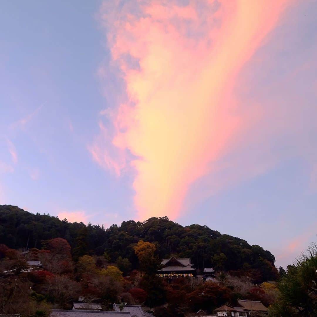 奈良 長谷寺 / nara hasederaのグルメインスタ