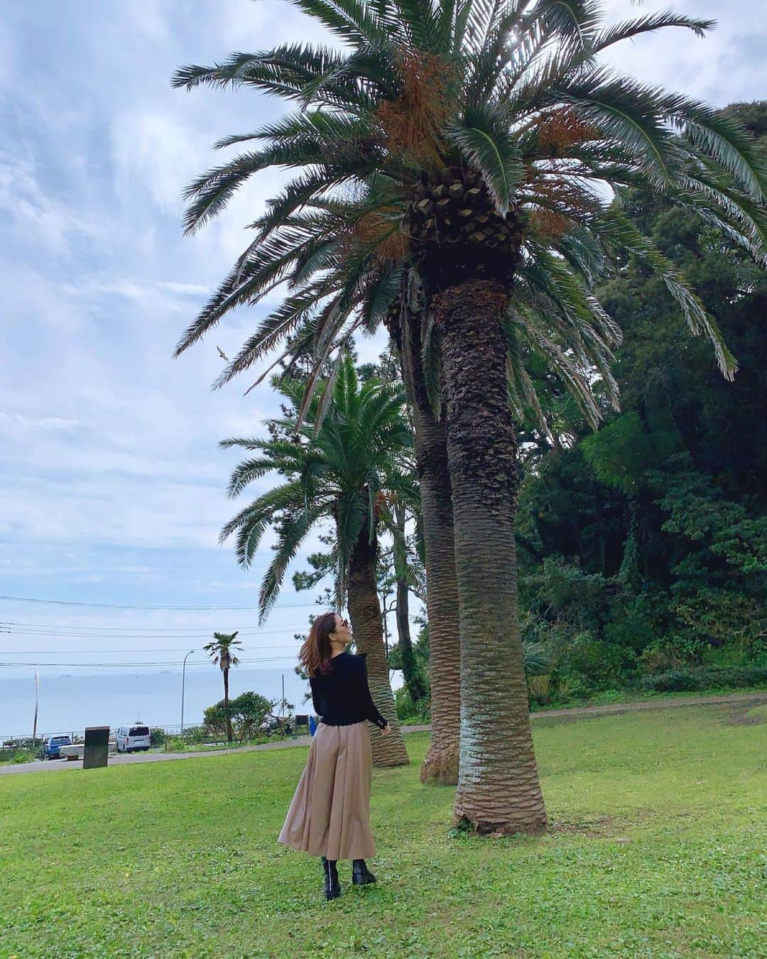 宮田綾子さんのインスタグラム写真 - (宮田綾子Instagram)「⁑ 🌴🌴🌴🌴🌴  海と空の境い目がわかるかな？     #宮田綾子 #beachparkliving #観音崎 #神奈川観光 #神奈川 #神奈川カメラ部 #横須賀 #海 #海が好き #ヤシの木 # #大きな木 #なんの木 #南国風 #リゾート #リゾートコーデ #空 #空が好き #海 #海が見える #wonderful_places #japan_of_insta #genic_japan #genic_mag #tripgram #旅スタグラム #タビジョ #旅ジェニック #たびじょ #映えスポット」11月15日 17時26分 - ayako__miyata