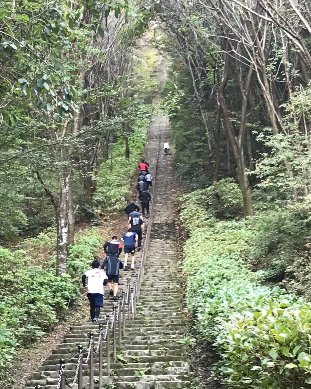 大野将平さんのインスタグラム写真 - (大野将平Instagram)「tenri training camp. @ajjf_official」11月15日 17時35分 - ono0203