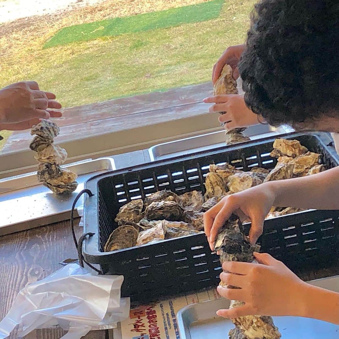 伊勢志摩エバーグレイズのグルメインスタ