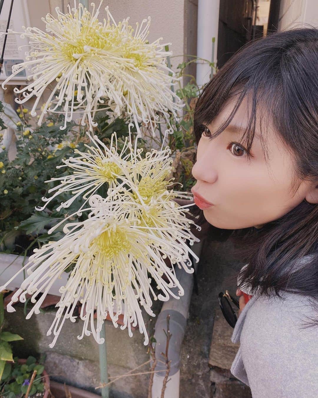 Rinanaさんのインスタグラム写真 - (RinanaInstagram)「今日は朝からzoomで お芝居のオリエンテーション。 少しずつでも自分を鍛えていくぜ。  あと最近自分に自分で 初めてお花を買いました💐 これだけで人に笑われるん ですけど、こう見えてお花とか 好きですよ。ケラケラ。笑  #花　#花のある暮らし #Flower」11月15日 17時39分 - unairina0512