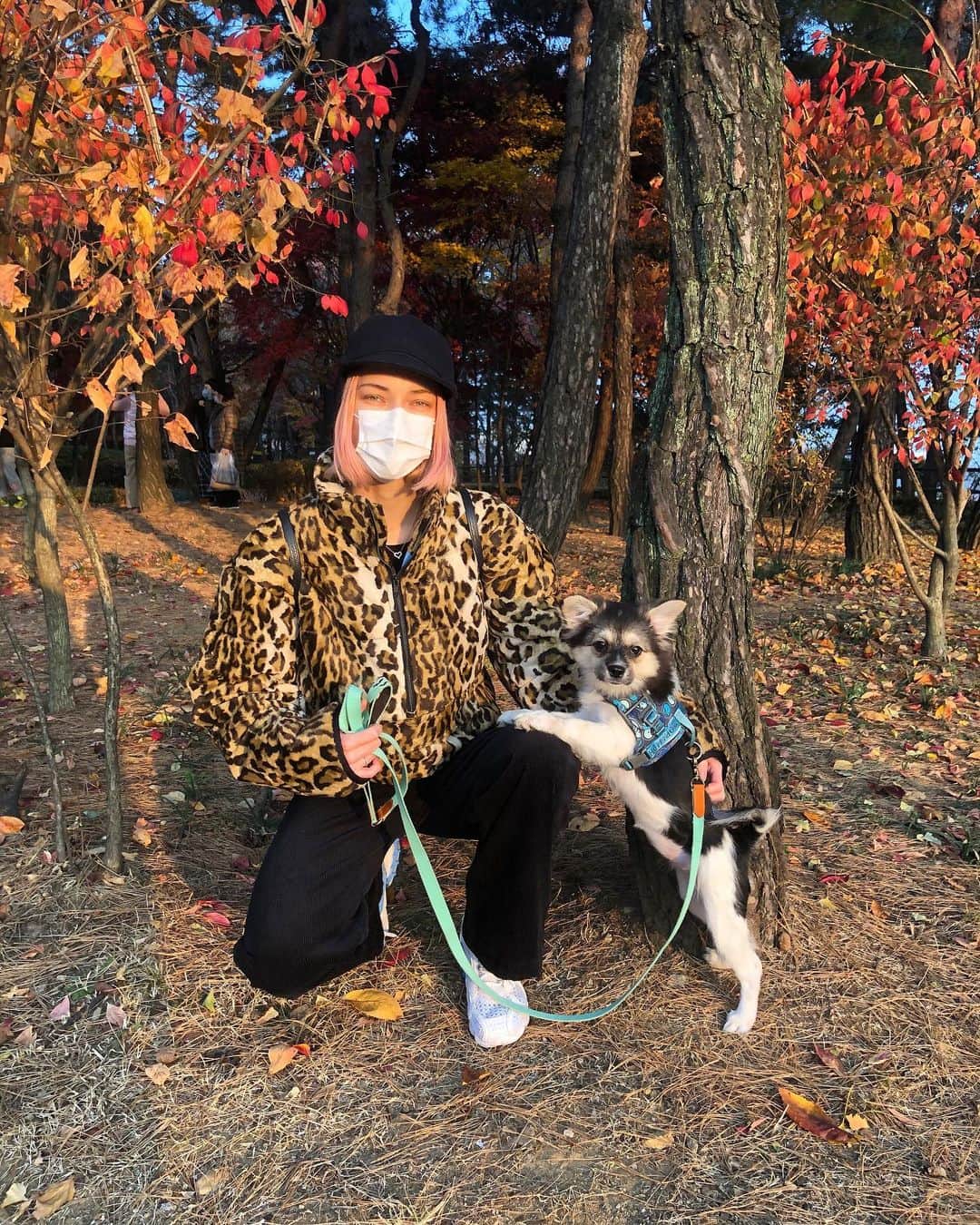 ステファニー・ミチョヴァのインスタグラム：「A leopard in the forest 🍁🍂 숲속에 레오파드가 있어요 🥰」