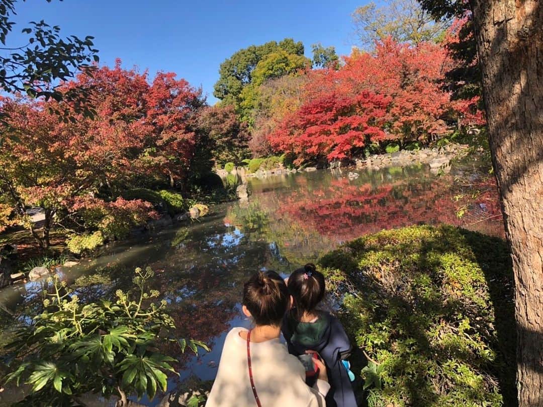 藤井奈々のインスタグラム：「京都の紅葉🍁  風が冷たくて、 鳥の声と水のせせらぎが 心地よい空間でした♡  空見て、 美味しい空気吸って、 自然にたくさん パワーもらったよ🌈✨  まだ、これからもーっと 綺麗になるんだろうけど、 既にすっごーーく綺麗でした🍁🏯✨  はぁ、癒された♡  #紅葉#銀杏#京都#東寺 #🍁#⛩#🏯#🍡#🍵 #mama #mygirl#kyoto  #kyotojapan#japan  #おそろヘア#お団子ヘア」