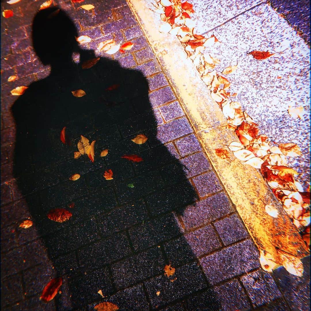 寒川綾奈さんのインスタグラム写真 - (寒川綾奈Instagram)「秋ですなぁ🍂」11月15日 18時08分 - sogawaayana