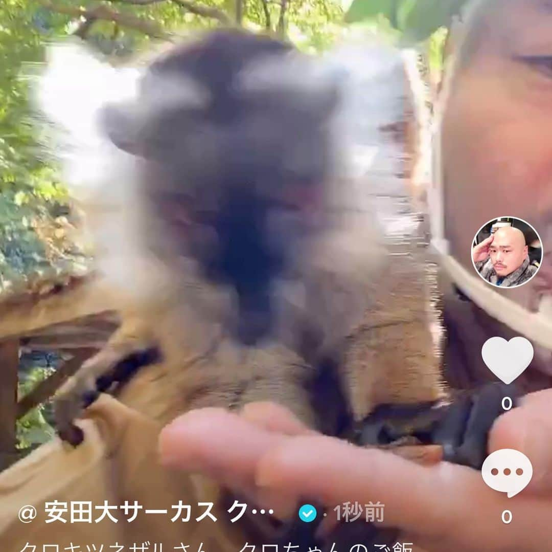 クロちゃんのインスタグラム