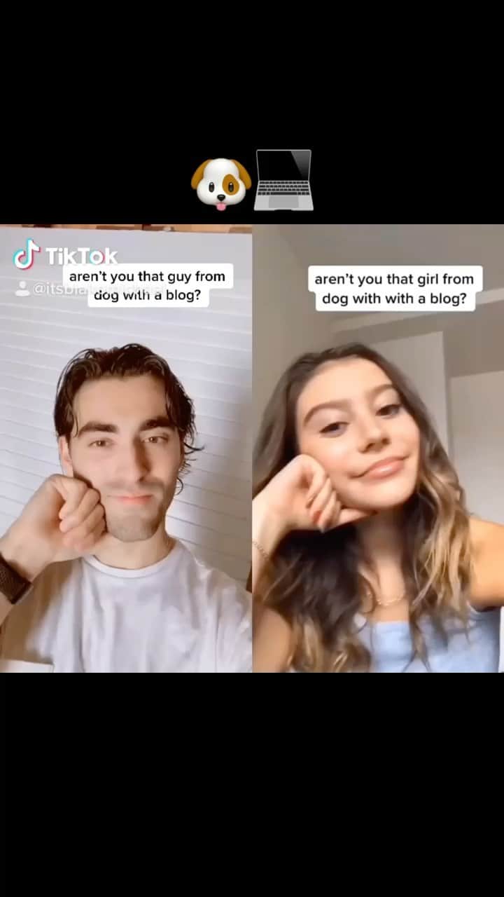 ブレイク・マイケルのインスタグラム：「petition to put dog with a blog on Disney+」