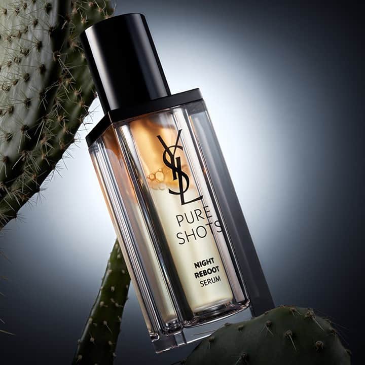 Yves Saint Laurent Beautyさんのインスタグラム写真 - (Yves Saint Laurent BeautyInstagram)「Charged by the regenerating power of Moonlight Cactus flower, PURE SHOTS NIGHT REBOOT SERUM is infused with the protecting benefits of a botanical grown in YSL beauty's very own Ourika Gardens in Morocco. Formulated without parabens, sulfates, mineral oil, and phthalates, science and nature come together to provide a truly effective formula. #yslbeauty #pureshots #nightrebootserum」11月16日 3時59分 - yslbeauty