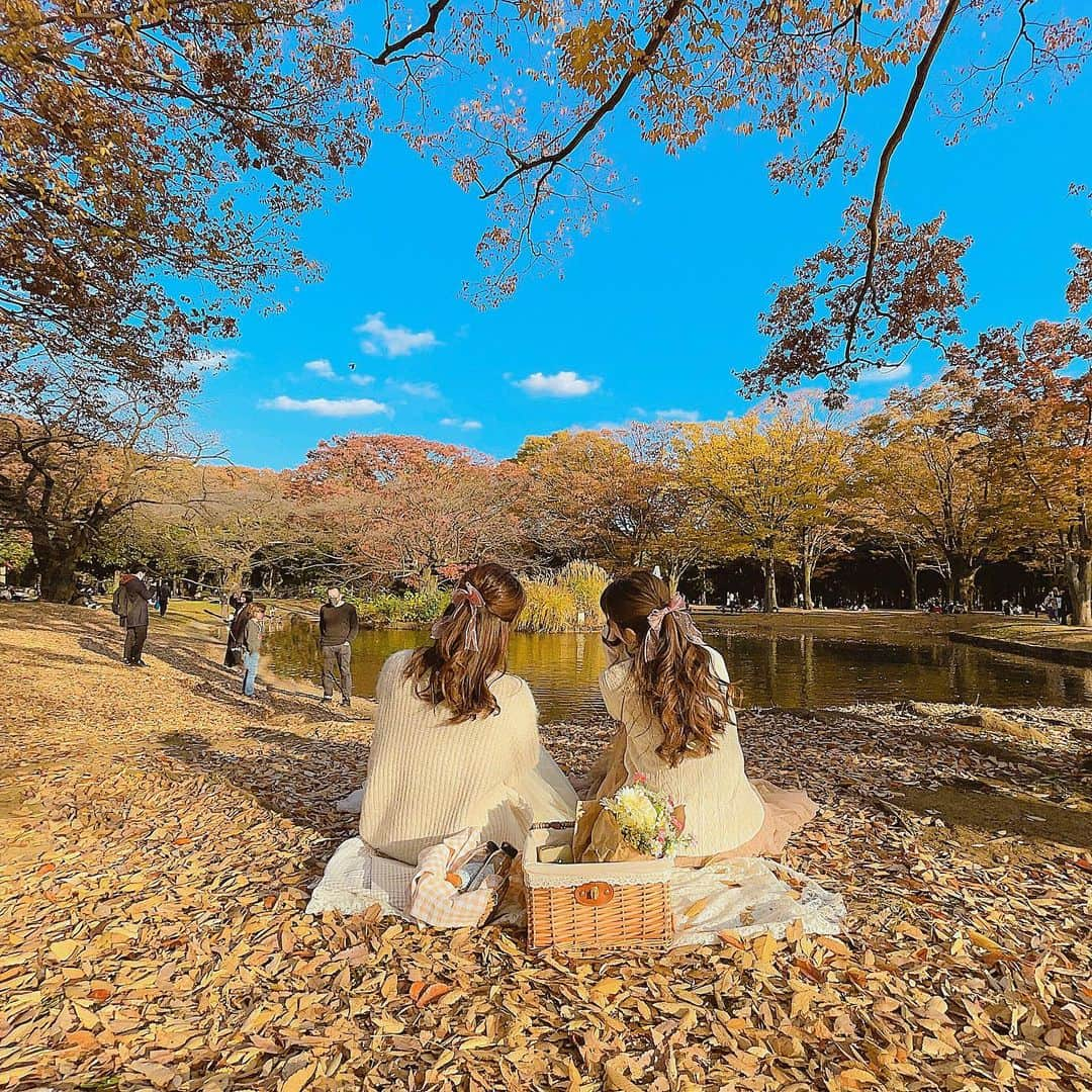 今吉めぐみさんのインスタグラム写真 - (今吉めぐみInstagram)「#picnic﻿ ﻿ ﻿ あいぴー @aiko_kayo1211 と﻿ #秋ピク 🍁🥪﻿ ﻿ 噴水まわりが紅葉してて﻿ キレイだった✨﻿ ﻿ ﻿ よき夜を🌙💟﻿ ﻿ ﻿ #代々木公園ピクニック #代々木公園 #秋ピクニック#おしゃピク #autumn #yoyogipark」11月15日 20時23分 - megu813