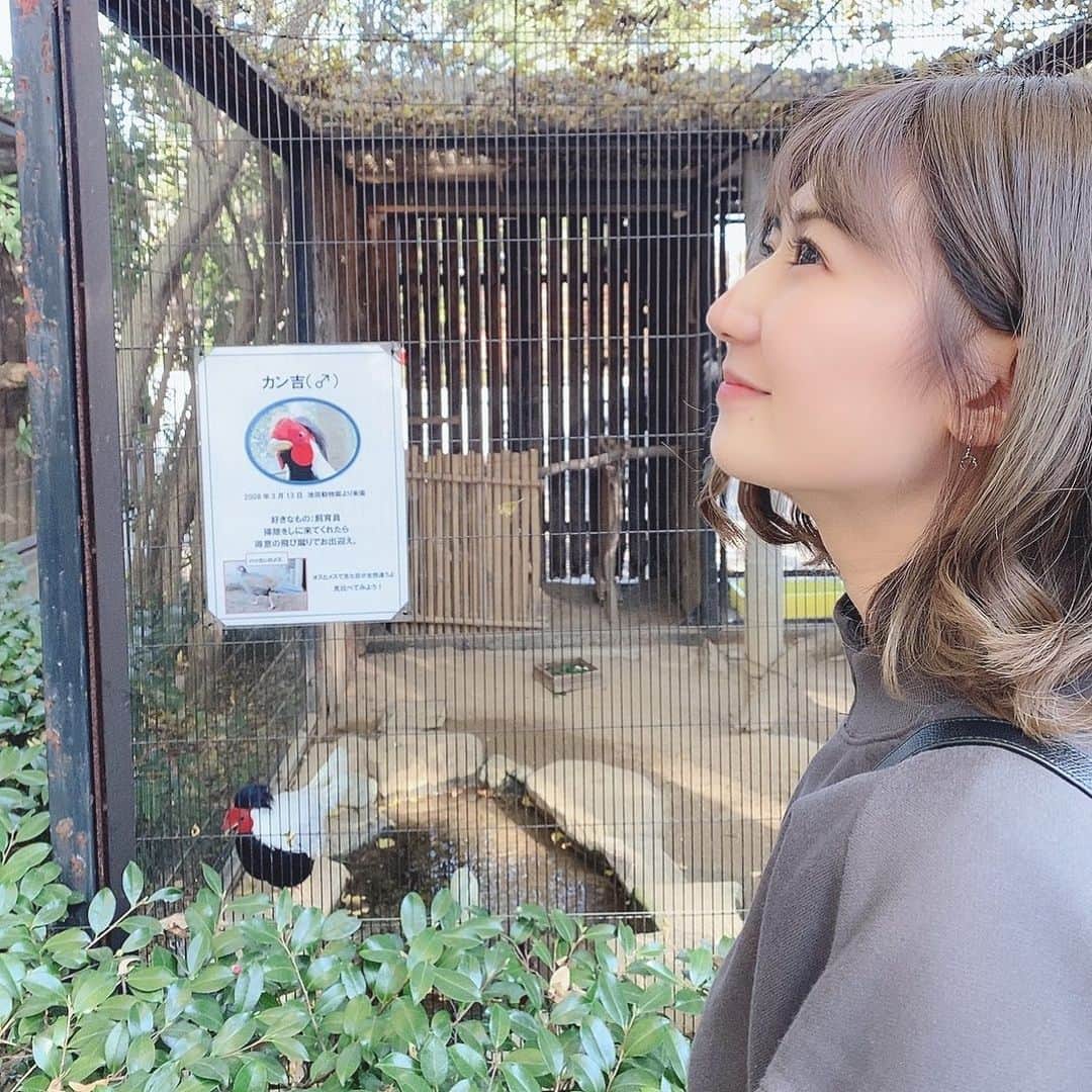 篠原栞那のインスタグラム：「‪‪❤︎‬ 家族で動物園に行ったら、カン吉がいたのでカン吉とカンナで撮りました📷笑  #王子動物園 #家族旅行 #ツーショット #名前 #似てる」