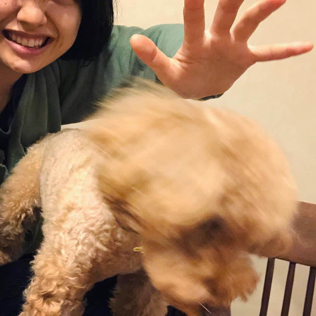 上原実矩のインスタグラム：「🥳🎂🐶🎉 #52歳になるそうです」