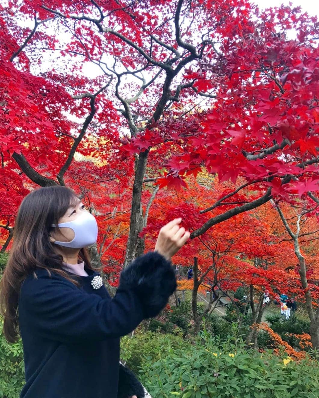 石塚かおりさんのインスタグラム写真 - (石塚かおりInstagram)「#弥彦#もみじ谷#紅葉  冬が来る前に 秋を感じておきたい。  と思って弥彦に。  考えることはみな同じ（笑）  ロープウェイ、ツリーパフェは あきらめました(^_^;  また行きたいな。  #新潟#パワースポット  #弥彦神社 #温泉#ロープウェイ#パフェ 寒いから#おでん 寒くても#ところてん  すっかり冬の#コート 次に行くまで #そらなび#DVDBook で #ドローン#VR  #新潟愛#新潟放送 #アナウンサー #石塚かおり」11月15日 20時45分 - kaori_ishizuka413