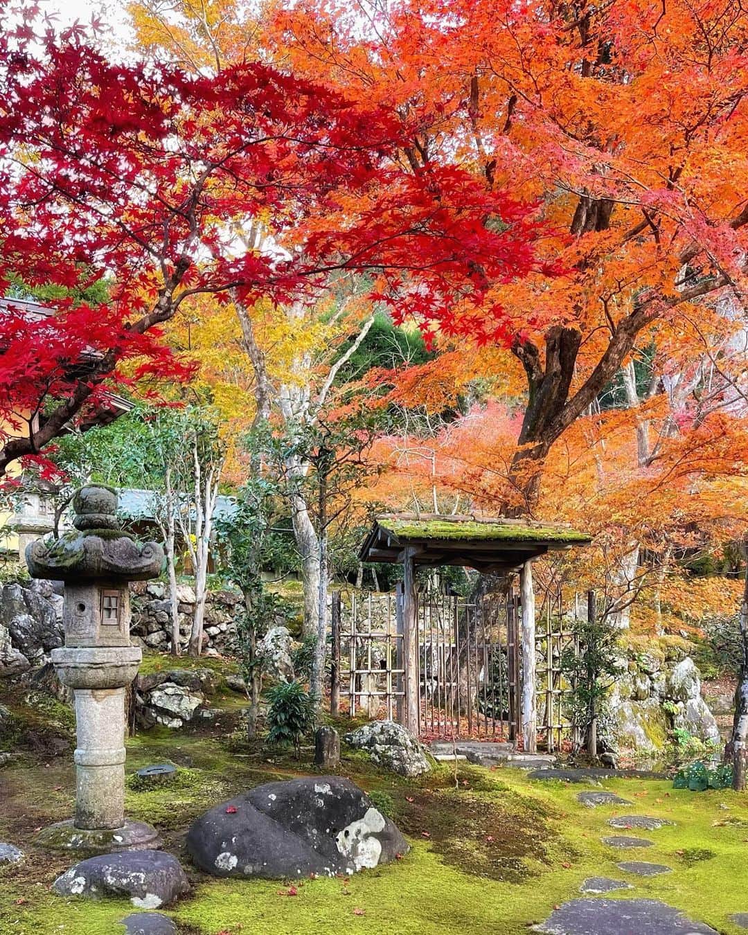 JAPANのインスタグラム