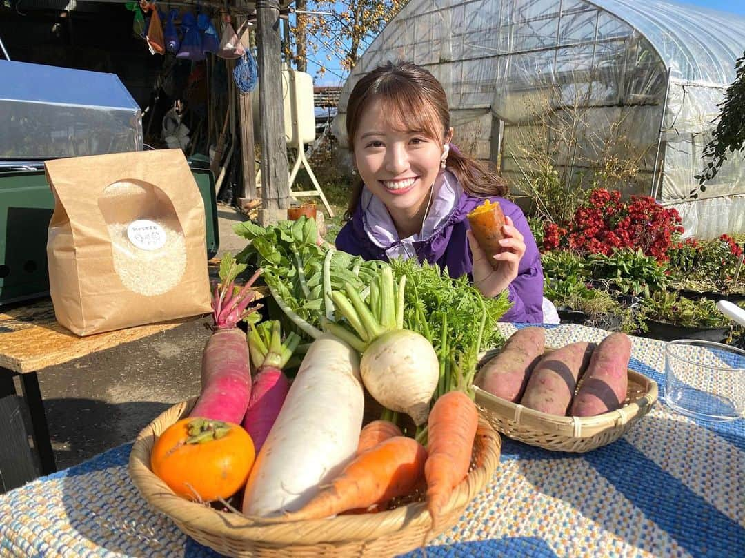 花田凌南のインスタグラム：「* 昨日の中継は #うたか自然農園 から🥕 * 秋の味覚を満喫しました😋💛 * #8っぴーサタデー  #農業 #収穫 #体験 #🍠  #岩手 #めんこいテレビ #アナウンサー」