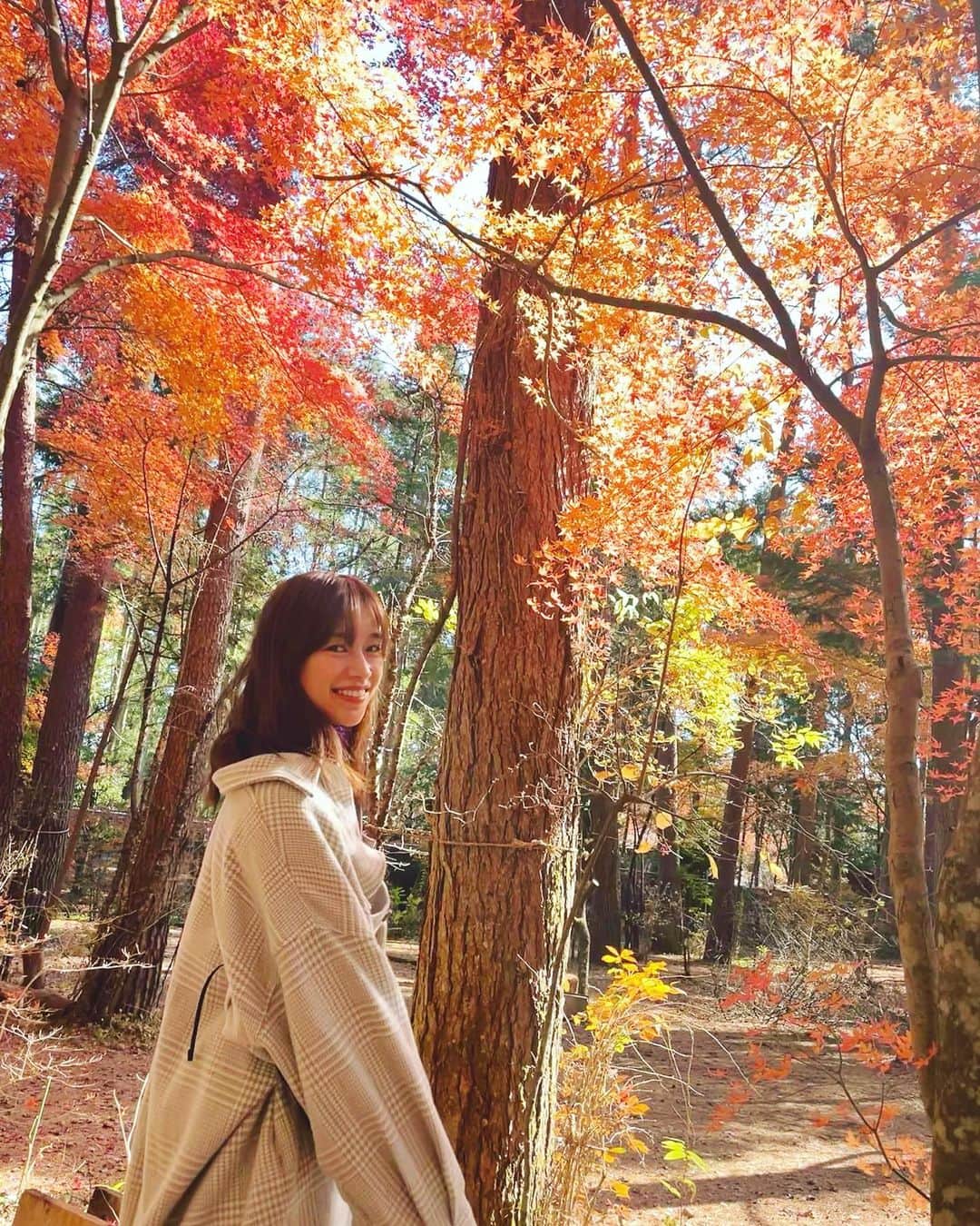 紺野ゆりのインスタグラム：「ゆりキャン打ち上げキャンプ🏕 こんな綺麗な紅葉見たのは初めて。  秋キャンプ最高。。😍🍁 こんな感動味わえるのも　#ゆりキャン のおかげ。 感謝感謝です✨  @yuri_camp2020  テント⛺️: @jackwolfskin.jp  #キャンプ#秋キャンプ#紅葉#河口湖オートキャンプ場」