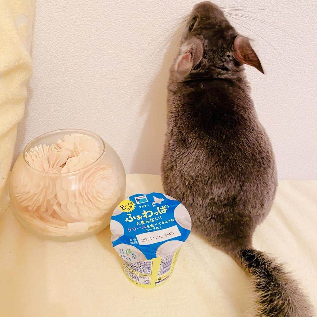 LINAのインスタグラム