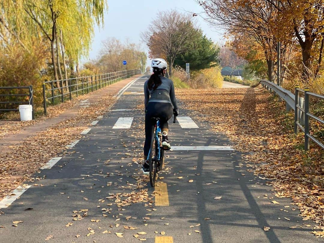 ユリ さんのインスタグラム写真 - (ユリ Instagram)「🍂🍁🚴🏻‍♀️🍂🍁」11月15日 21時09分 - yulyulk