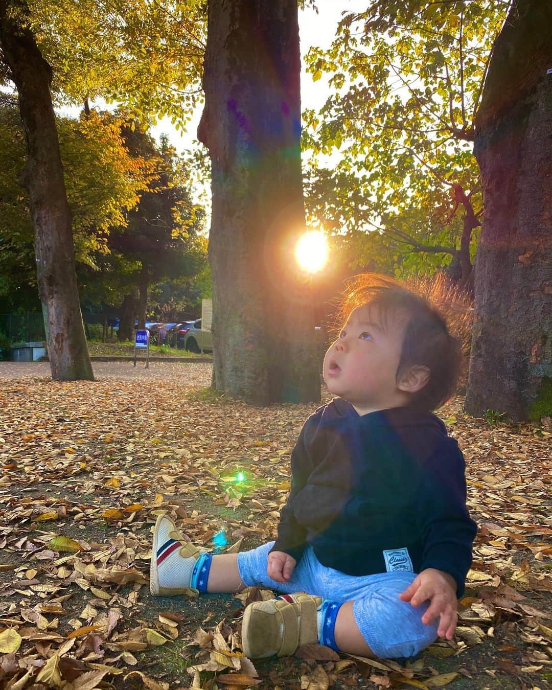野口綾子のインスタグラム：「秋ですね🍂 もうすぐ１歳、去年の今頃はパンパンのお腹だったんだよなぁとふと思い出す、ほど妊婦生活ってすぐ忘れちゃうんですね 今日は初めて靴を履いて1人で立っちできました☺️🥾 裸足だと今にも歩き出しそうなくらいにしっかり立つのですが、靴を履くとふにゃふにゃベビー👶 #11ヶ月ベビー #公園遊び #葉っぱ食べちゃう #秋 #babyboy #autumn」