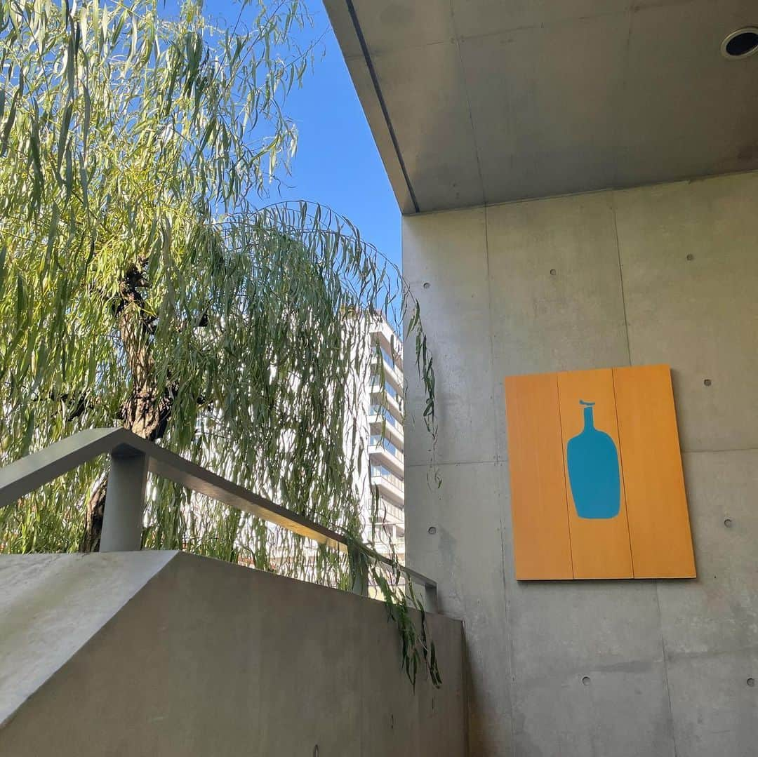 黒田莉来さんのインスタグラム写真 - (黒田莉来Instagram)「#bluebottlecoffee 青山店  土曜日だし混んでそうだな〜と思い8:00の開店と同時に☀️ けど休日とは思えないくらい空いてました🤣  以前午後から行った時は座れなかったので、休日は午前中から行けば必ず座れると思います🙆‍♀️  テラス席がほんっとうにお勧め🌿  #bluebottlecoffeeaoyama  #ブルーボトルコーヒー青山カフェ #表参道カフェ#モーニングプレート」11月15日 21時16分 - kuroda_tomatochan