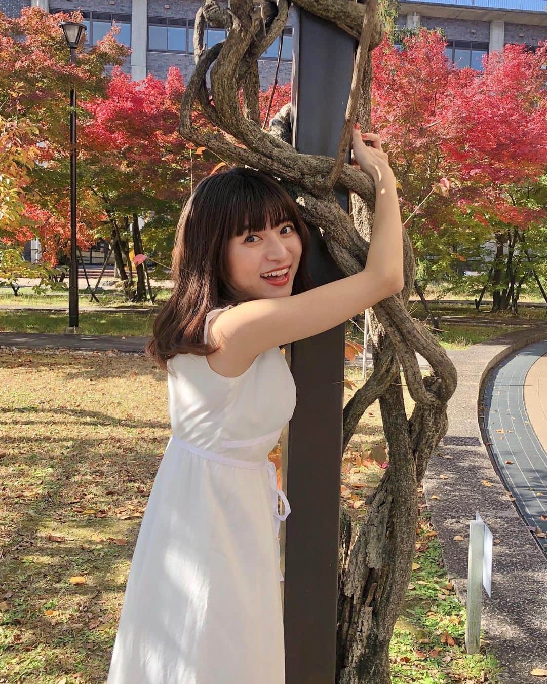 谷口萌衣子のインスタグラム：「すんごい嬉しそう（笑） ツタを登りたくてワクワクしてる人でした  in 衣笠キャンパス！！  ___________________\\\\  「Web投票」を行っています！ ❶プロフのURLから、サイトにアクセス。 ❷サイト内の「谷口萌衣子に投票する」をタッチ。 で完了です😼♡ 本日投票7日目！！  #ミスキャンパス立命館 #紅葉  #大学生 #衣笠 #京都 #Rits」