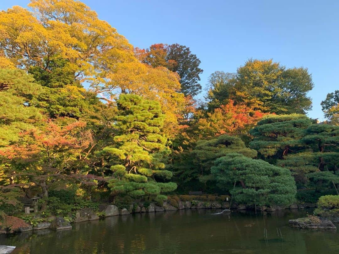 朝風れいさんのインスタグラム写真 - (朝風れいInstagram)「✨綱町三井倶楽部✨ ・ ・ まだまだ知らない世界が沢山あるなぁ😲 そう感じた一日でした🥺 ・ ・ ・ 大正2年（1913年）に建てられた建築を、勿論修繕を重ねてですが、今の令和の時代まで、そのままの形で残した本館。 当時や、その後の沢山の歴史が、どこからでも感じられます✨ 洋館も素敵でしたが、広大な日本庭園もとても素晴らしくて… ・ ・ ・ え、麻布十番から徒歩数分の場所で… ヨーロッパ旅行したような、 京都や金沢のような古都へ、 ”the日本を感じる旅行🍁”に来たような、 挙句、大正ロマンにタイムスリップしたような…🤯 もう、何とも言えない気持ちになりました😂 この感覚は何だっけと思ったら、宝塚を観劇した時みたいだな🤣笑笑 ・ ・ 連れて行って下さった皆様に感謝です🍀🎂🥂🍾 ・ ・ ・ #綱町三井倶楽部 #三井倶楽部 #大正ロマン #プチガルニエ なの？ #ピエール山下　なの？ #加納惣三郎 なの？ #オピウム　あるの？😨 #無いわ ！！🤣 #まさかの #ロマネコンティ #3本 #見た #興奮した #撮影許可頂いてます」11月15日 21時40分 - rei.wd