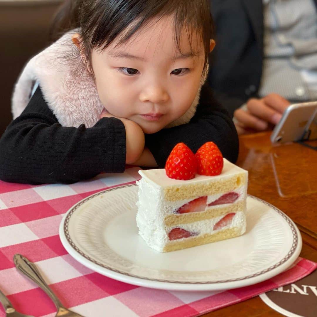 田中雅美さんのインスタグラム写真 - (田中雅美Instagram)「どぉしても苺ショートケーキが食べたかった娘♡  ・ ・ 視線がケーキから離れません。🤣  ・ ・ #苺ショートケーキ #食べたい顔 #真剣に見つめる」11月15日 22時01分 - tanakamasami_official