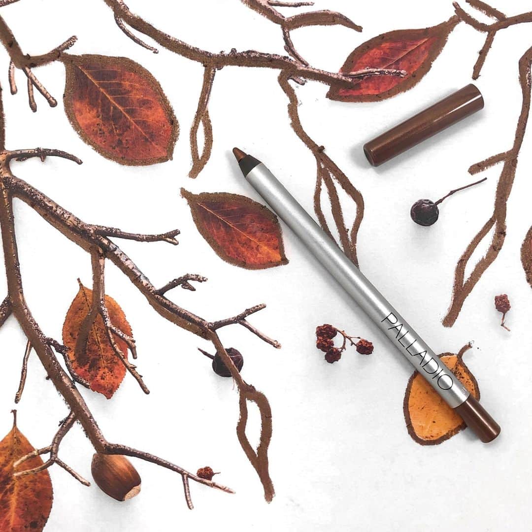 Palladio Beautyさんのインスタグラム写真 - (Palladio BeautyInstagram)「🍂 Autumn Brown🍂 The first of our new Precision Eyeliner shades, is a beautiful brown with minuscule specs of gold glitter to add depth and a subtle shimmer!  Link in Bio   #PalladioBeauty #AutumnBrown #PrecisionEyeliner」11月15日 23時04分 - palladiobeauty