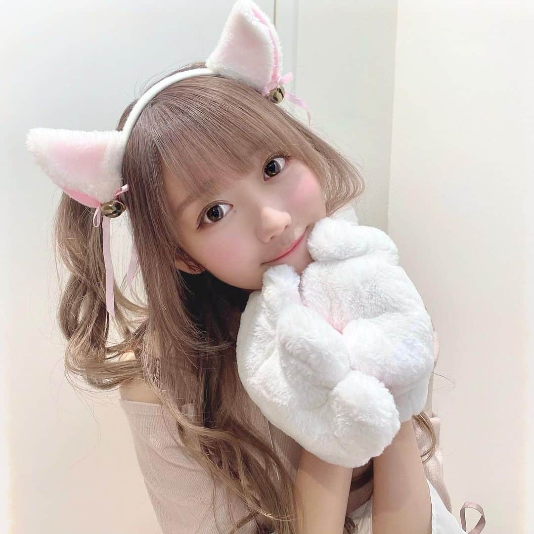 大谷映美里さんのインスタグラム写真 - (大谷映美里Instagram)「🐈 ㅤㅤㅤㅤㅤㅤㅤㅤㅤㅤㅤㅤㅤ ネコさん🎀 今日はお話し会でしたので、 朝からお昼まではネコになったのですよ🐾 #tittyandco の可愛いぴんくの肩あきワンピを着た♡ ㅤㅤㅤㅤㅤㅤㅤㅤㅤㅤㅤㅤㅤ オンラインはどこに居ても参加できるし 起きたばっかりでも参加できるし😉、笑 とても便利でいいところがいっぱいあるね✨ 逆に、直接会ってるわけじゃないから 思うように話せなかったり時間内に伝えられなかったりも あるのかなぁって思う！ ㅤㅤㅤㅤㅤㅤㅤㅤㅤㅤㅤㅤㅤ 嬉しい、幸せ、感動、緊張、全部… みんなの気持ちとか もしかしたら伝えきれなかった分の思いも いっぱいいっぱい届いてるよ🌸 ㅤㅤㅤㅤㅤㅤㅤㅤㅤㅤㅤㅤㅤ 伝えてくれる姿が嬉しいなぁって思ってるんだけど、 私の方もこうすればもっと良かったのかな！って 考えたりしてるから、また笑顔をみせにきてね🌟 ㅤㅤㅤㅤㅤㅤㅤㅤㅤㅤㅤㅤㅤ 券を申し込んでくれて、楽しみに参加してくれること自体が とてもとても嬉しいよ。ありがとう☺️ だから、何も気にせずに楽しみにきてね☁️ 緊張している姿もカワイイです🤤 ㅤㅤㅤㅤㅤㅤㅤㅤㅤㅤㅤㅤㅤ 明日からもがんばりましょう！」11月15日 23時27分 - otani_emiri