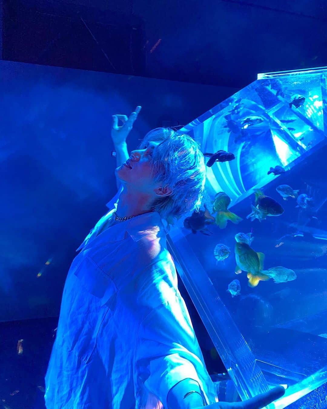原田デイビッドさんのインスタグラム写真 - (原田デイビッドInstagram)「“Who looks outside, dreams; who looks inside, awakes.” - Carl Jung  🙌  📸: @tsuyoshikiritoshi  #blue #water #aquarium #aqua #fish #goldfish #white #reflection #color #surface #vibe #chill #calm #tokyo #japan #photo #photography #art #light #海 #水 #アート #東京 #日本 #青 #ヒカリ #写真」11月15日 23時19分 - davidharada_01