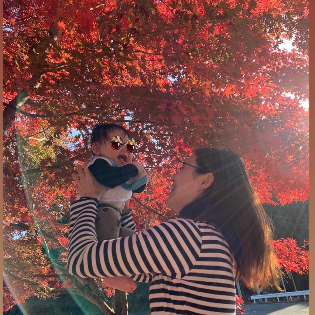 前田美順さんのインスタグラム写真 - (前田美順Instagram)「. . お天気も良くて、とってもいい感じでした。 . . #秋好き  #家族の時間  #紅葉を見に行こうよう」11月15日 23時20分 - miyukimaeda_badminton