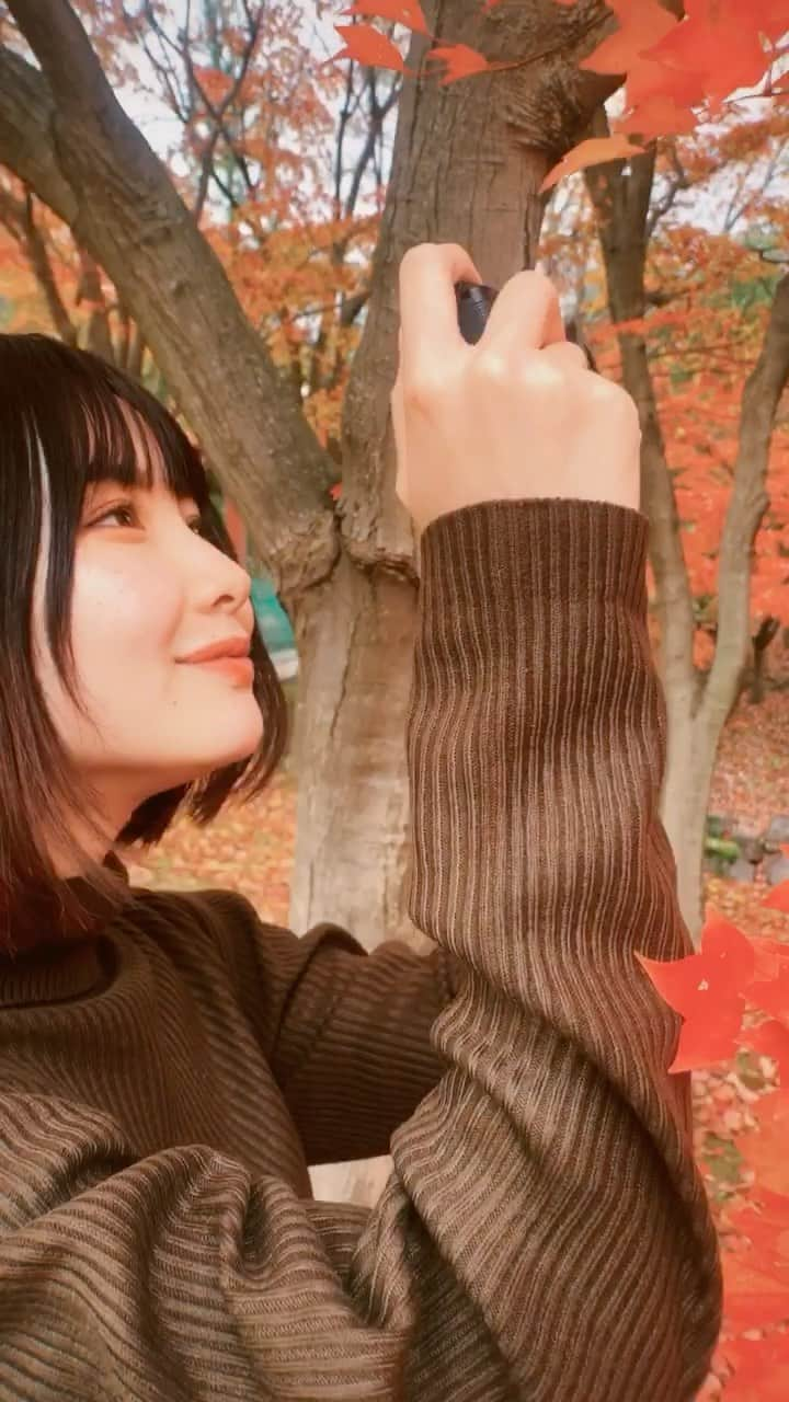 志茂彩奈のインスタグラム：「秋を満喫してきた　part4🍁 今回で最後ですすみません何度も😇  動画見てもらったらわかると思うんですけど本当にあたり一面真っ赤😳 またいきたい🍁  本番まであと1週間となりました！ はやい、、はやすぎる、、 最後まで応援していただけると嬉しいです！みなさんいつも本当にありがとうございます😭✨ ・ ・ #ミスキャンパス同志社女子2020 #ミス同女 #ファイナリト #ミスキャンパス #しもぽち #秋#紅葉#リール#動画#撮影#ファイナルステージまで#あと1週間#応援よろしくお願いします✨」