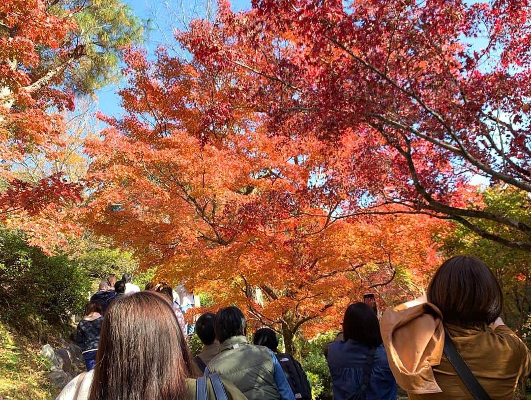 Moka さんのインスタグラム写真 - (Moka Instagram)「日本に生まれてこれてよかった。」11月15日 23時51分 - moka_030n