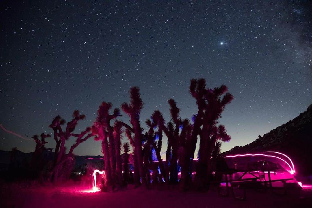 ローレン·ランドルフのインスタグラム：「¯\_👽_/¯」