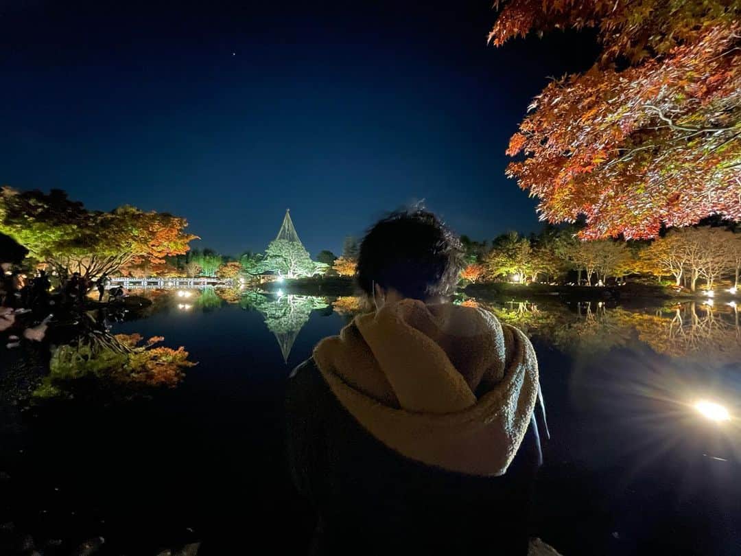 石松大晟のインスタグラム：「・﻿ 今日は紅葉を見に広徳寺と昭和記念公園へ🍁﻿ ﻿ 昭和記念公園のライトアップは美しすぎて感動😭👏﻿ 今まで見てきた中でダントツ良かった！﻿ 行ったことない方は是非行ってもらいたい🍁﻿ 一生忘れられない景色リストに入りました㊗️﻿ ﻿ #canon #gopro #photo #紅葉 #昭和記念公園 #イチョウ #もみじ　 #広徳寺の写真は今度投稿します」