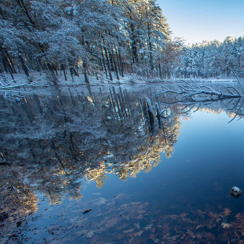 Tim Lamanさんのインスタグラム写真 - (Tim LamanInstagram)「Photo by @TimLaman.  First Snow Reflections.  We recently had our first snowfall, and I was out before sunrise seeking out unique images.  Glass calm conditions on the pond, which had not yet frozen over, created a unique situation never seen in winter when the pond is covered in snow… a perfect reflection as the sun kissed the treetops.  I think this is another candidate to add to my Walden Pond fine art print collection.  Swipe slowly to see the full image, and let me know your thoughts.  Thanks. - You can view my Walden Pond Collection of fine art prints in my online gallery at link in bio (www.timlamanfineart.com). (Note this is not the main Walden Pond, but another small pond within the Walden Pond State Reservation). - #Seasons #Nature #Fall #Snow #NewEngland #Massachusetts #WaldenPond」11月16日 1時25分 - timlaman