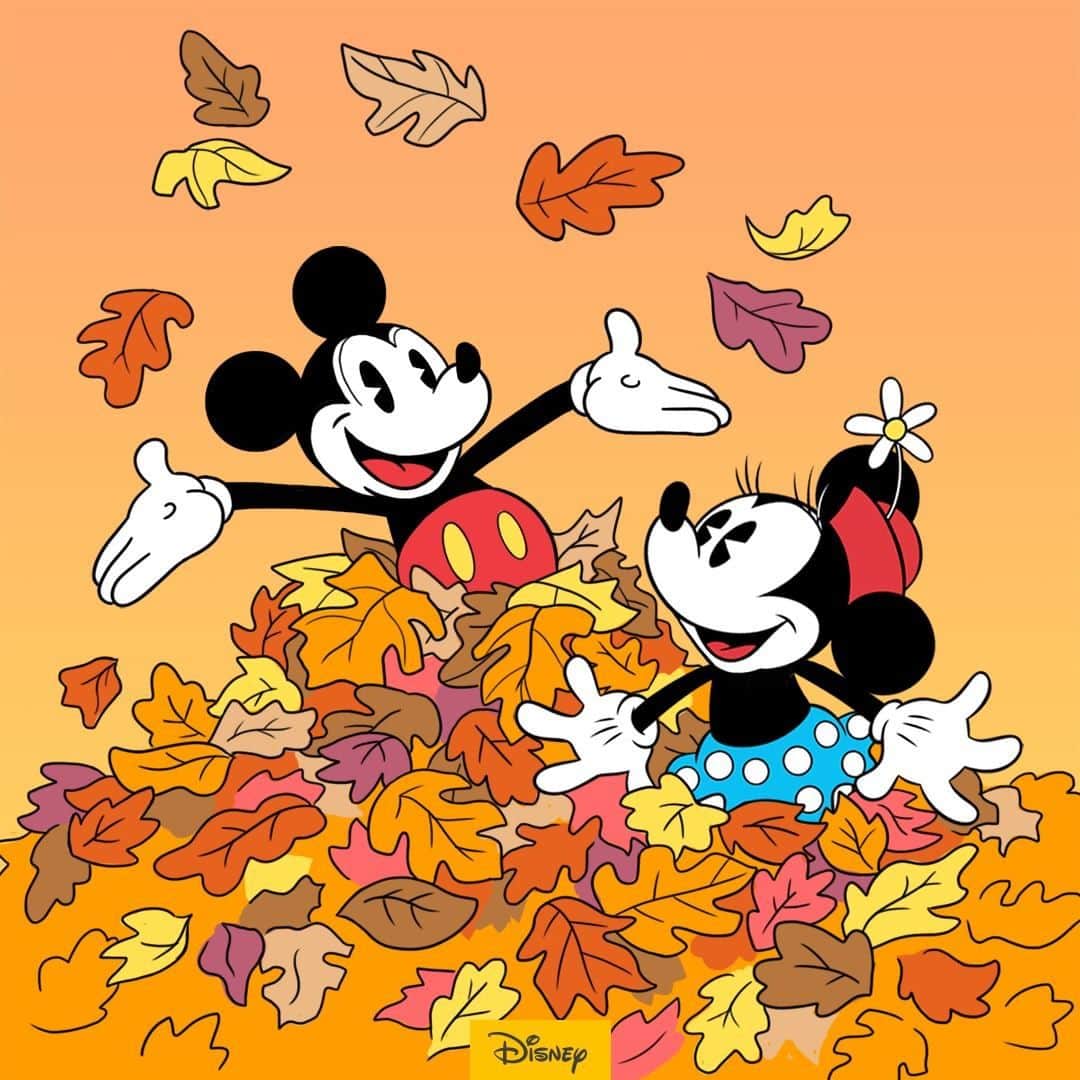 ミッキーマウスさんのインスタグラム写真 - (ミッキーマウスInstagram)「Seasonal sweetness! Tag the Mickey to your Minnie! 🧡」11月16日 1時30分 - mickeymouse