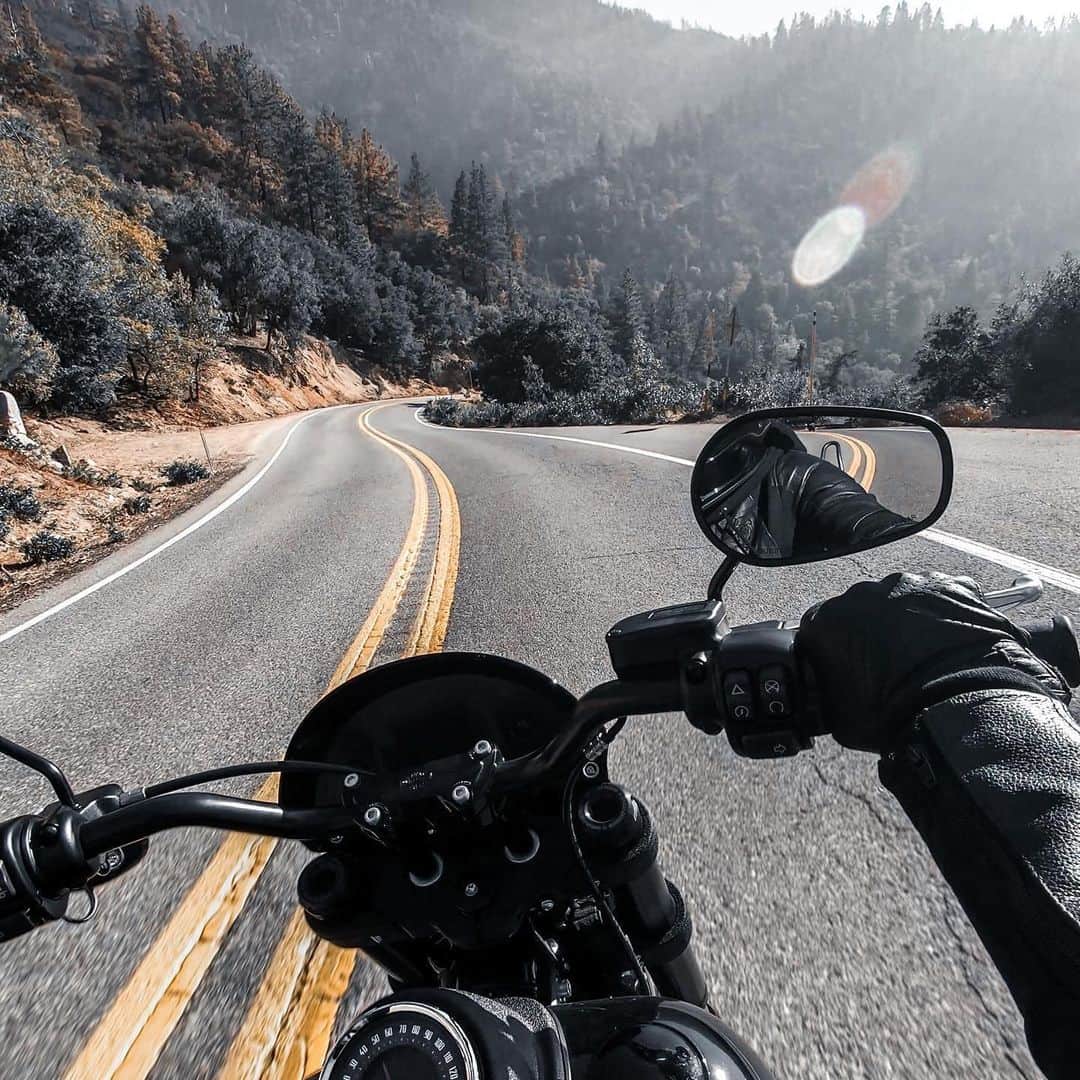 Harley-Davidson Japanさんのインスタグラム写真 - (Harley-Davidson JapanInstagram)「鼓動が木魂する。#ハーレー #harley #ハーレーダビッドソン #harleydavidson #バイク #bike #オートバイ #motorcycle #ツーリング #touring #ライド #ride #道 #road #鼓動 #pulse #2020 #自由 #freedom」11月16日 1時40分 - harleydavidsonjapan