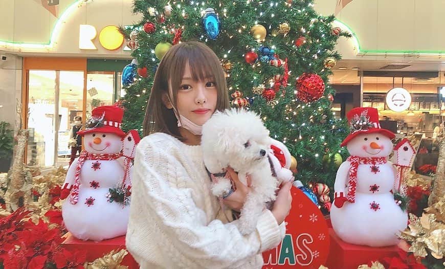 のインスタグラム：「浅草お散歩🐾 #クリスマス #クリスマスツリー #ビションフリーゼ」