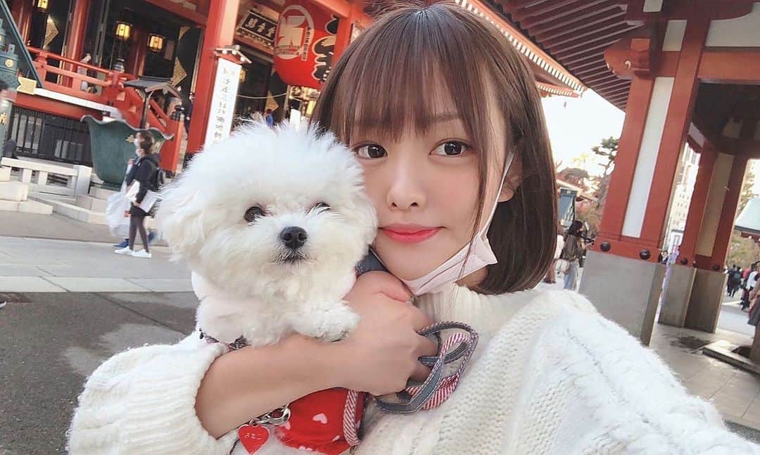 のインスタグラム：「#浅草寺 #ビションフリーゼ」