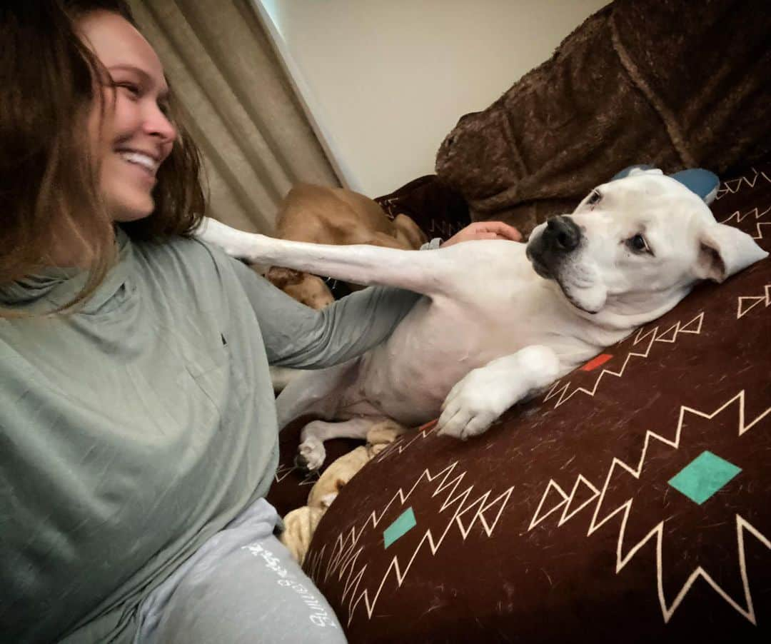 ロンダ・ラウジーさんのインスタグラム写真 - (ロンダ・ラウジーInstagram)「Every Morning ❤️🐶 #goodmorningMochi」11月16日 1時56分 - rondarousey