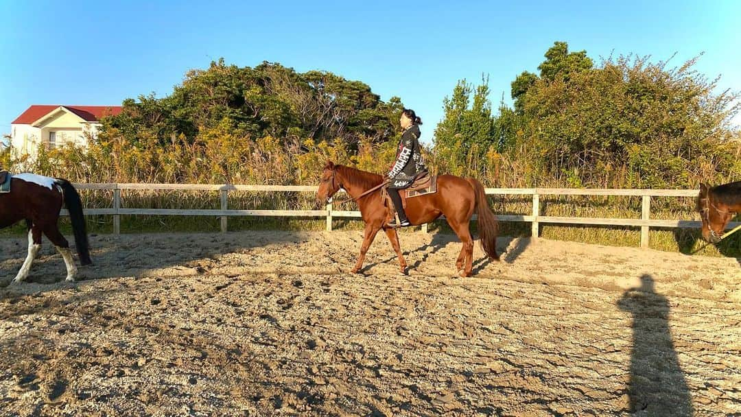 塩谷瞬さんのインスタグラム写真 - (塩谷瞬Instagram)「久しぶり乗馬して来たよ✨ 馬と心を合わせる時間は凄く幸せな時間✨  そして九十九里の海の家でハマグリ食べて 海鮮BBQプリプリして美味しいなぁ✨  今日も感謝の一日✨  - wonderful Life -  #乗馬 #horseriding #승마 #シオログ #ハマグリ #海鮮 #九十九里 #ヘリコプター #헬리콥터 #タケコプターではないよ #空の旅 🌈 #항공여행 #beautifulWorld #helicopter 🚁 #holiday #shunshioya  #塩谷瞬」11月16日 3時00分 - shunshioya_official