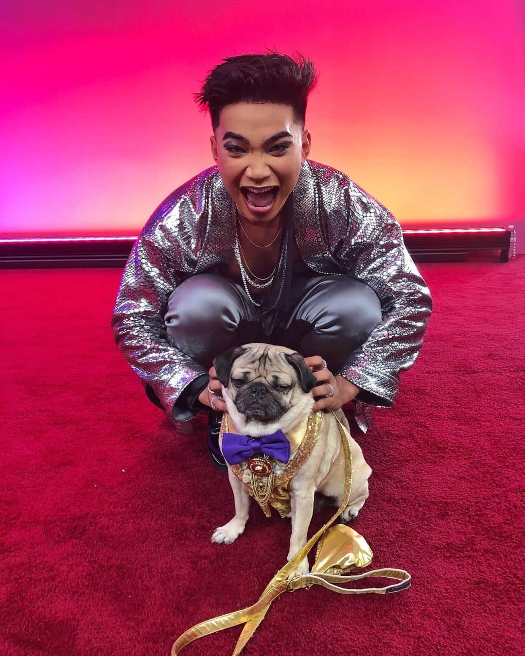 itsdougthepugさんのインスタグラム写真 - (itsdougthepugInstagram)「“Who’s the glammest pug of all?” -Doug • One year ago I won my People’s Choice Award and got to walk the carpet!! The 2020 @peopleschoice awards are TONIGHT and I am nominated again along with some awesome animals! Tune in and wish me luck🏆」11月16日 3時19分 - itsdougthepug