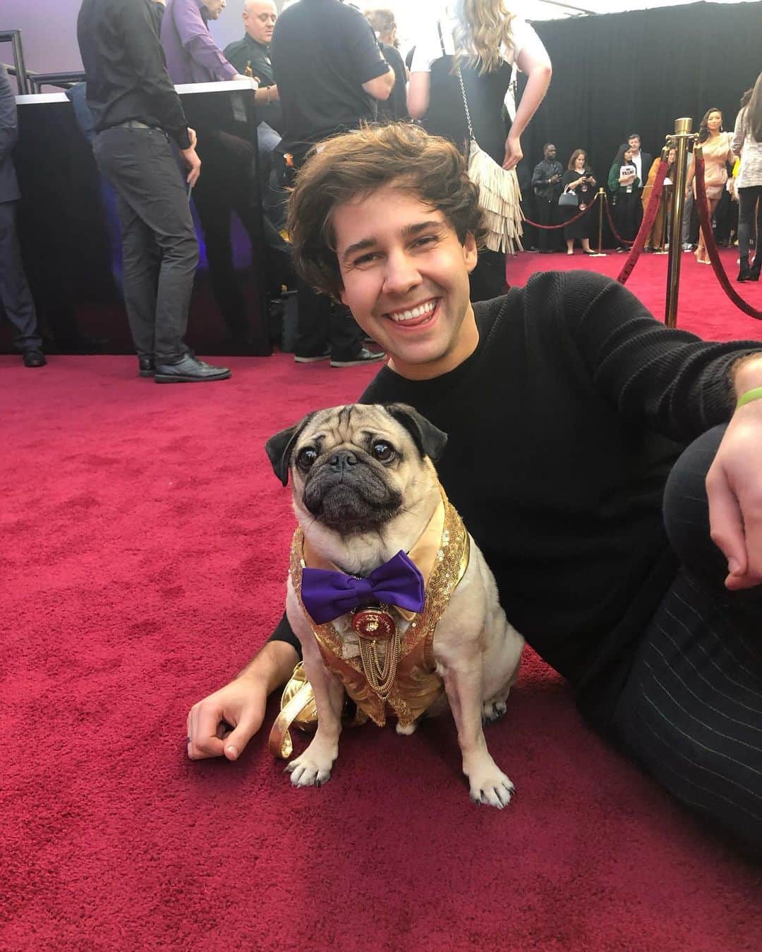 itsdougthepugさんのインスタグラム写真 - (itsdougthepugInstagram)「“Who’s the glammest pug of all?” -Doug • One year ago I won my People’s Choice Award and got to walk the carpet!! The 2020 @peopleschoice awards are TONIGHT and I am nominated again along with some awesome animals! Tune in and wish me luck🏆」11月16日 3時19分 - itsdougthepug