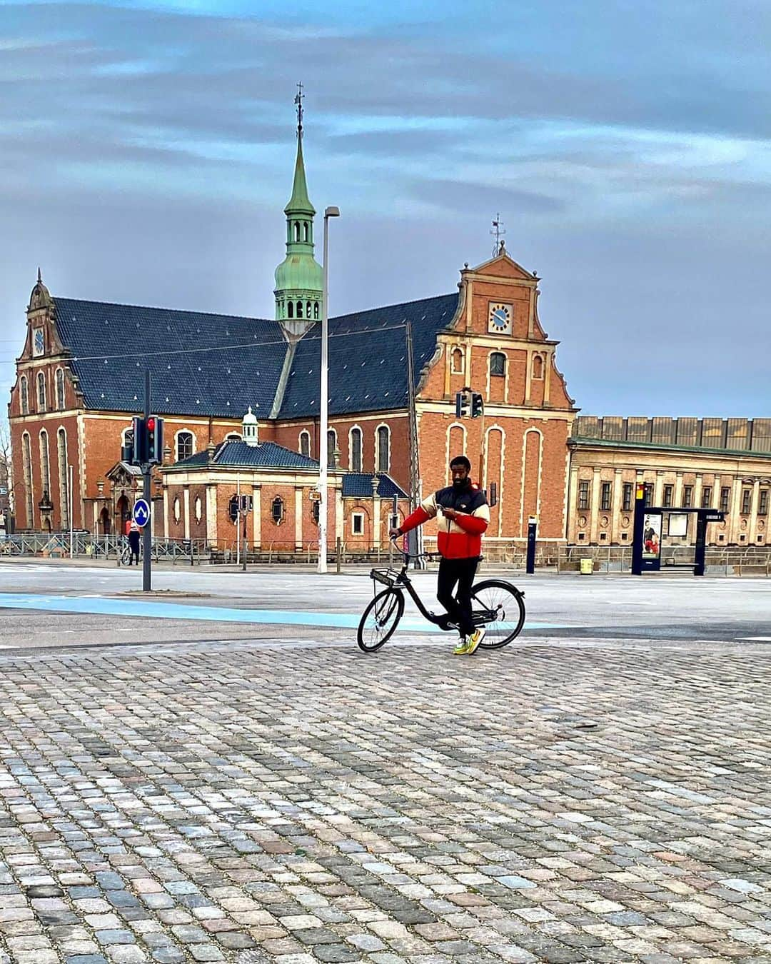 ヨハン・ジュルーさんのインスタグラム写真 - (ヨハン・ジュルーInstagram)「In the middle of the middle of Copenhagen. #copenhagen #bike #inthemiddle #tourism #lavieilfautlavivre #snake」11月16日 3時47分 - johan_djourou