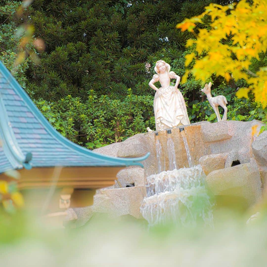 東京ディズニーリゾートさんのインスタグラム写真 東京ディズニーリゾートinstagram Who S Singing すてきな歌声に誘われて Snowwhitegrotto Snowwhitewishingwell Fantasyland Tokyodisneyland Tokyodisneyresort Snowwhite 白雪姫のグロット