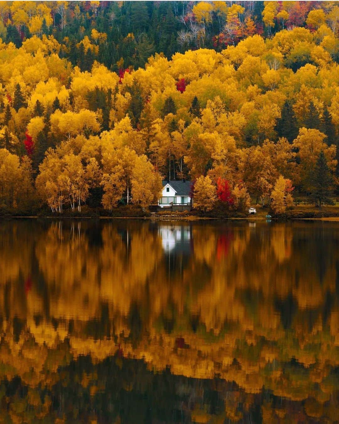 FOLKのインスタグラム：「I’m teetering between my love of snowy scenes and the perpetual love of autumn. This one by @calsnape has me wishing autumn was eternal, even if I know there is a season for everything.」