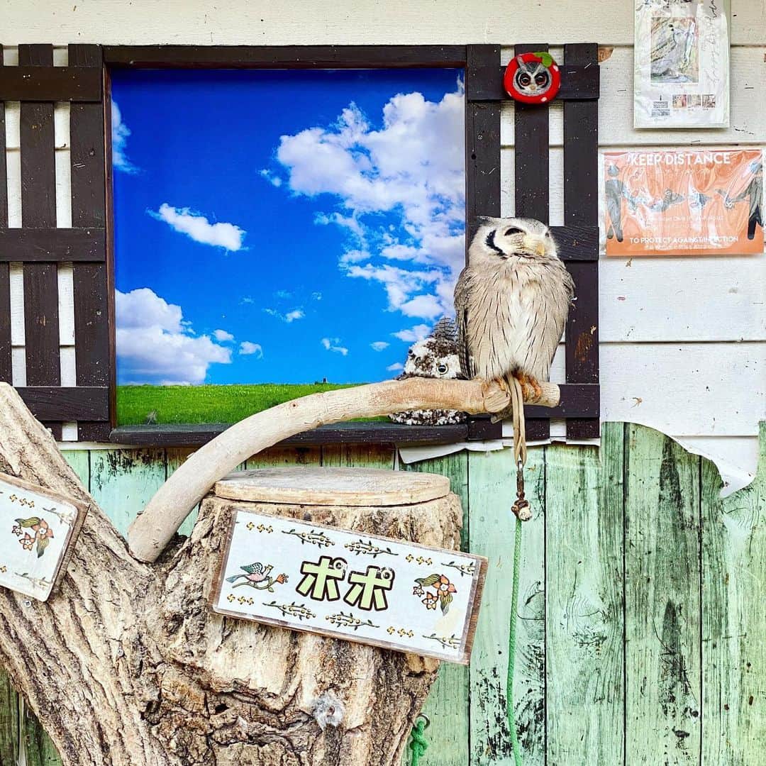 畑亜貴さんのインスタグラム写真 - (畑亜貴Instagram)「#たたらじ 収録の旅。花を鳥を愛でペンギンと記念写真を撮ったら家族写真みたいになりました🐧」11月16日 13時18分 - akihata.jp